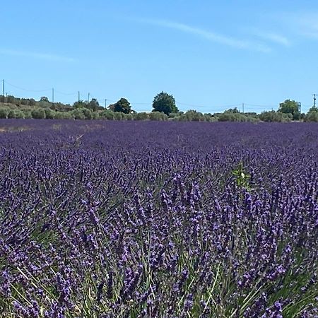 Gite Cocotte Luberon, Forcalquier Pierrerue  외부 사진