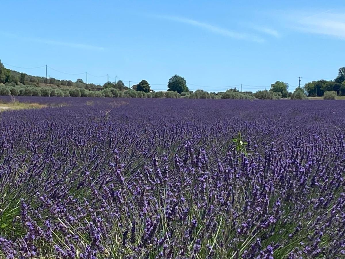 Gite Cocotte Luberon, Forcalquier Pierrerue  외부 사진