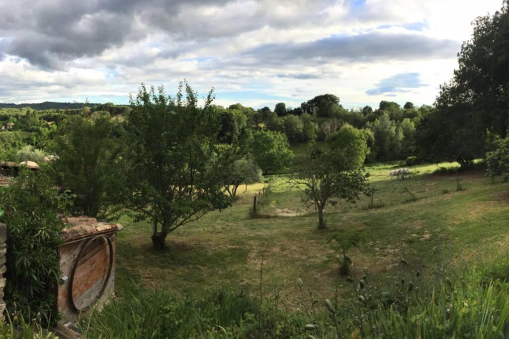 Gite Cocotte Luberon, Forcalquier Pierrerue  외부 사진