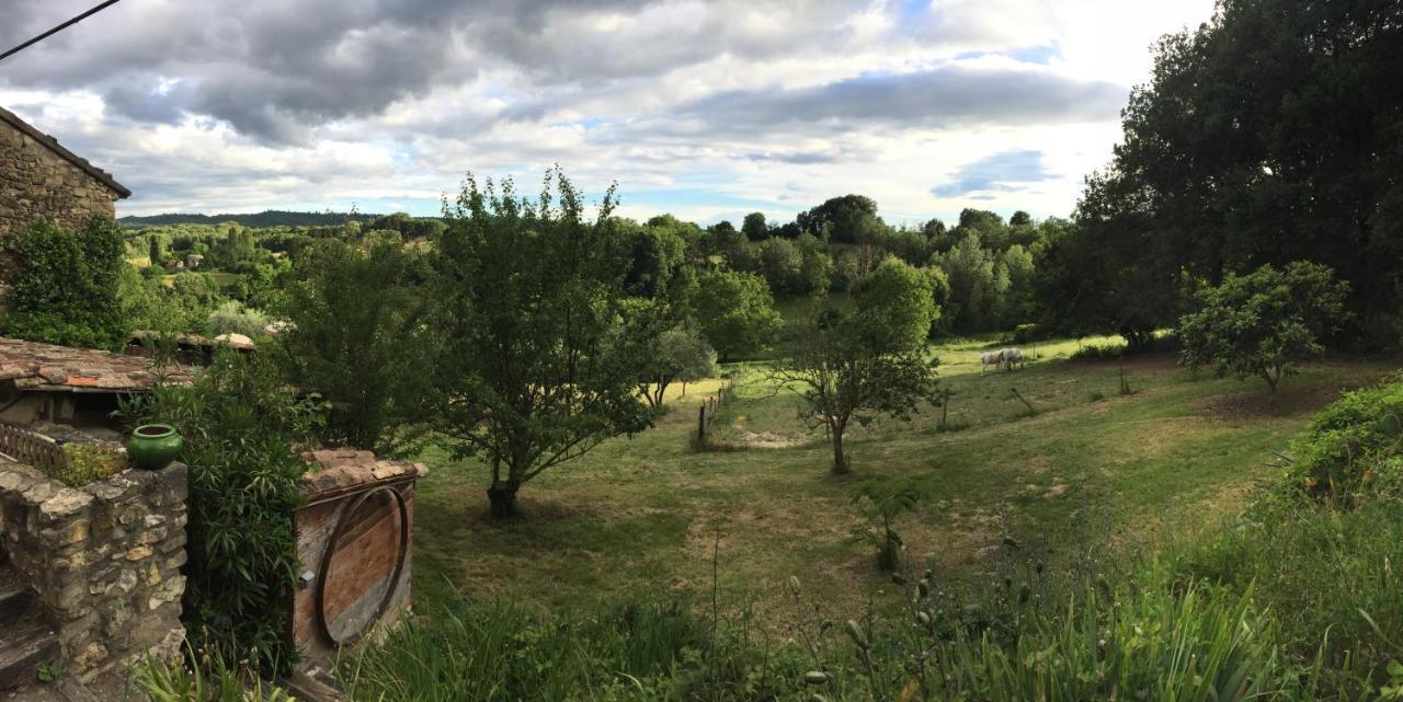 Gite Cocotte Luberon, Forcalquier Pierrerue  외부 사진